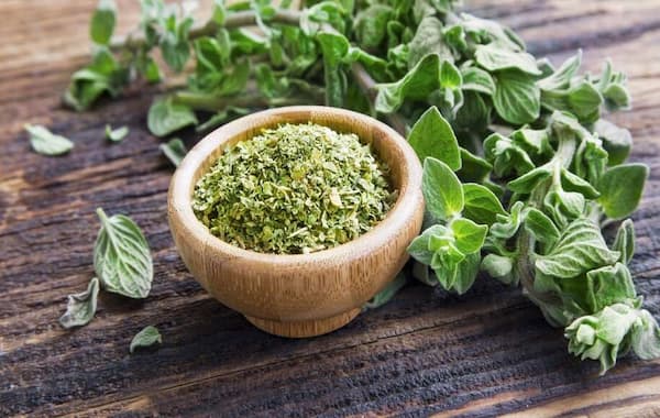 تصویر 3 از خرید پونه کوهی اصل + قیمت فروش استثنایی
